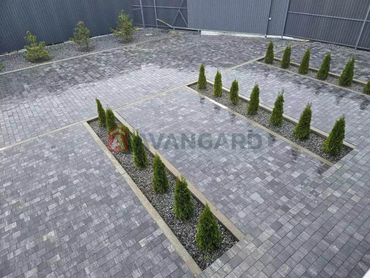 �������, 80 ��.�. ���� 4