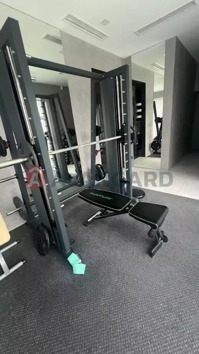 �������, 380 ��.�. ���� 14