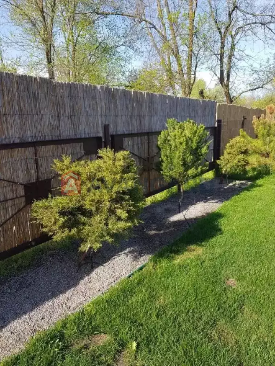 ����, 75 ��.�. ���� 7