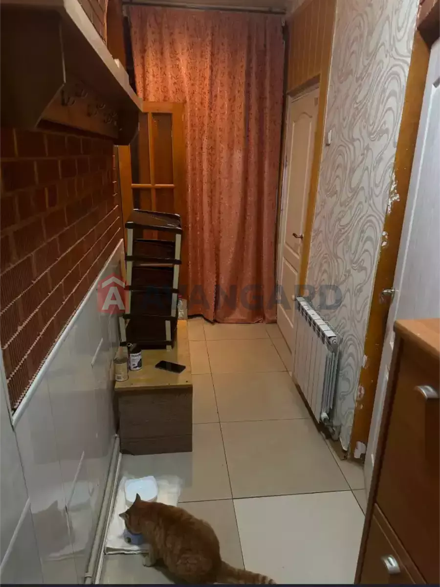 ������� �������, 53 ��.�. ���� 4