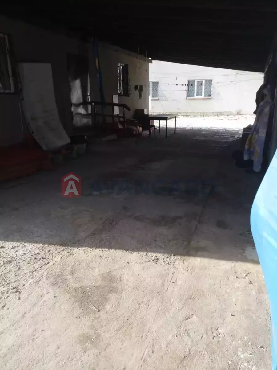 �������, 200 ��.�. ���� 3