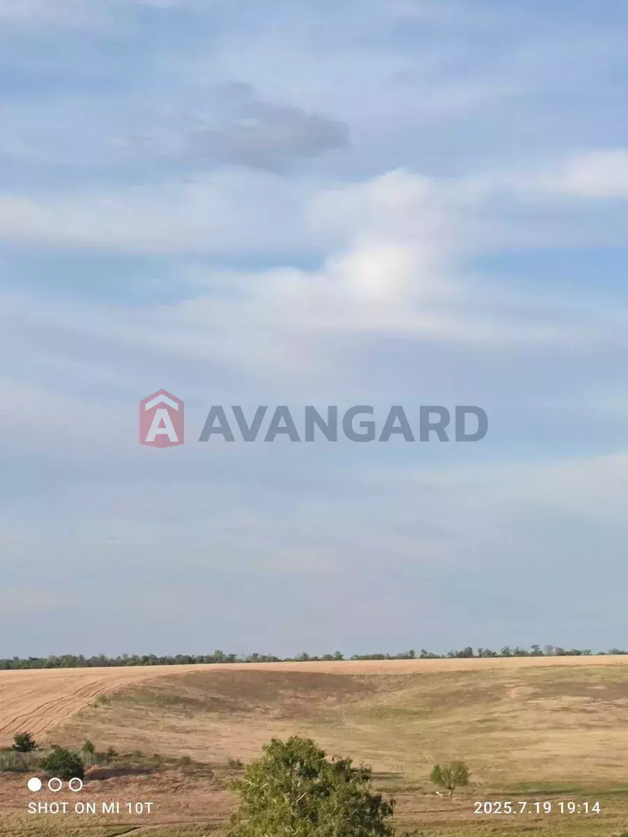 ����, 25 ��.�. ���� 4