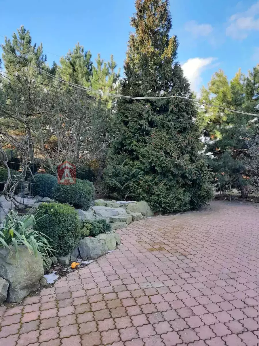 �������, 320 ��.�. ���� 20