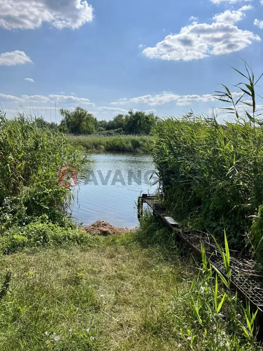 �������, 73 ��.�. ���� 24