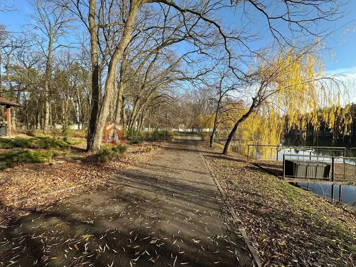 �������, 200 ��.�. ���� 5