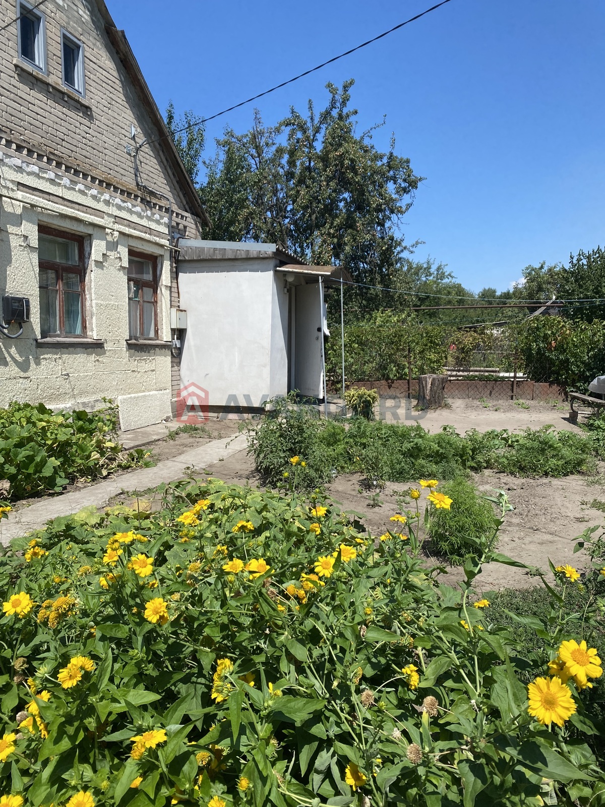 ������� �������, 44 ��.�. ���� 12