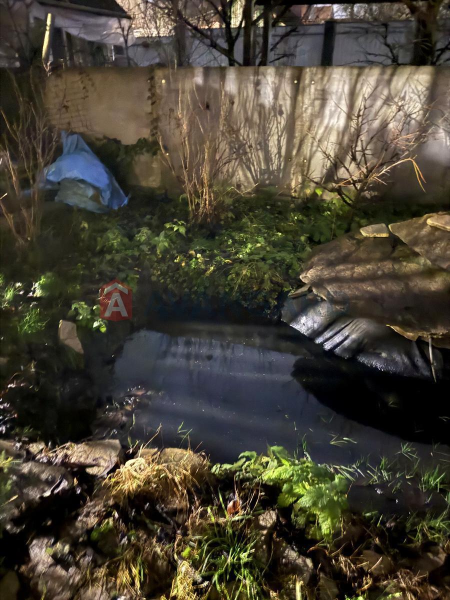 ������� �������, 55 ��.�. ���� 4