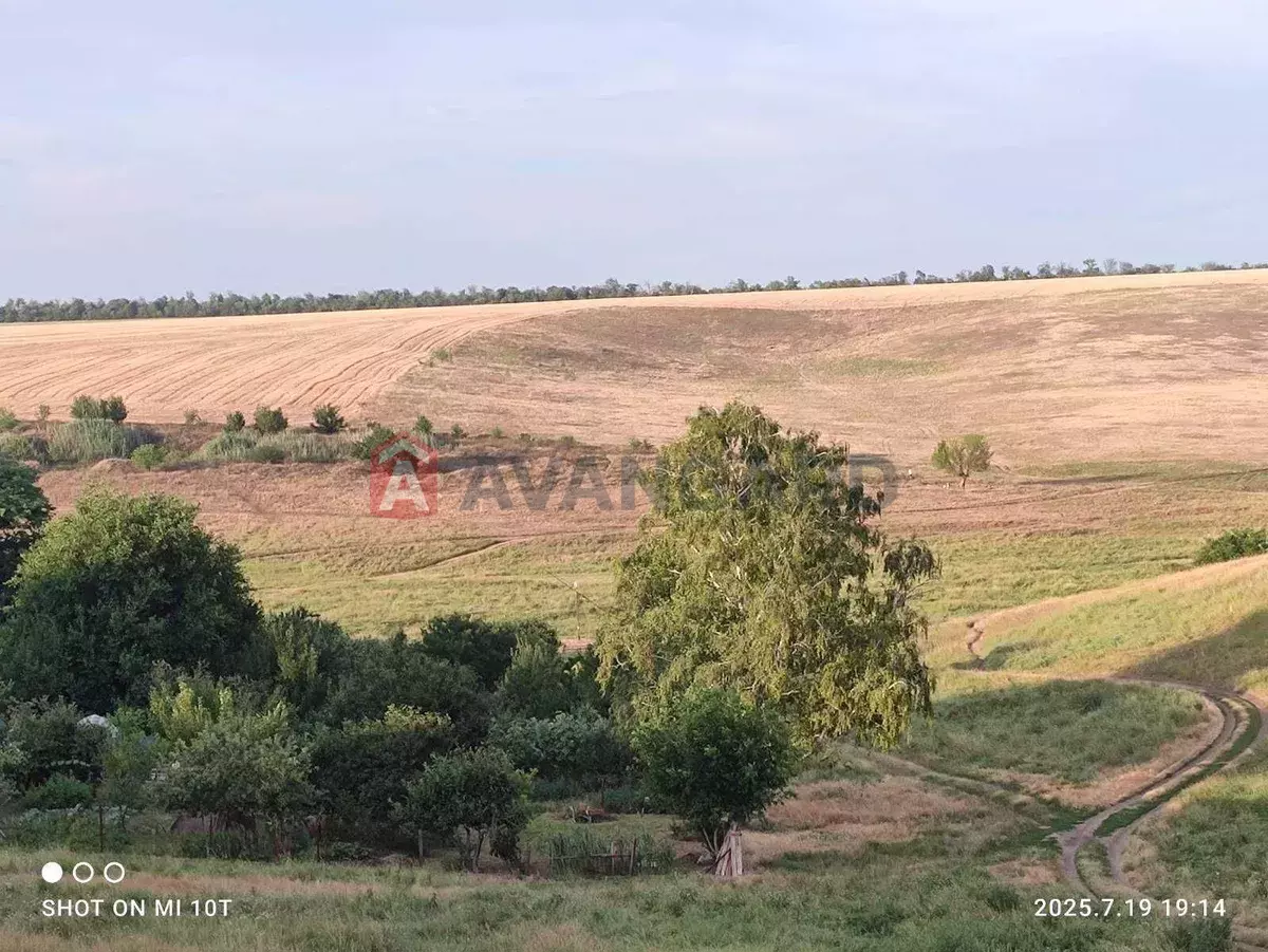 ����, 25 ��.�. ���� 5