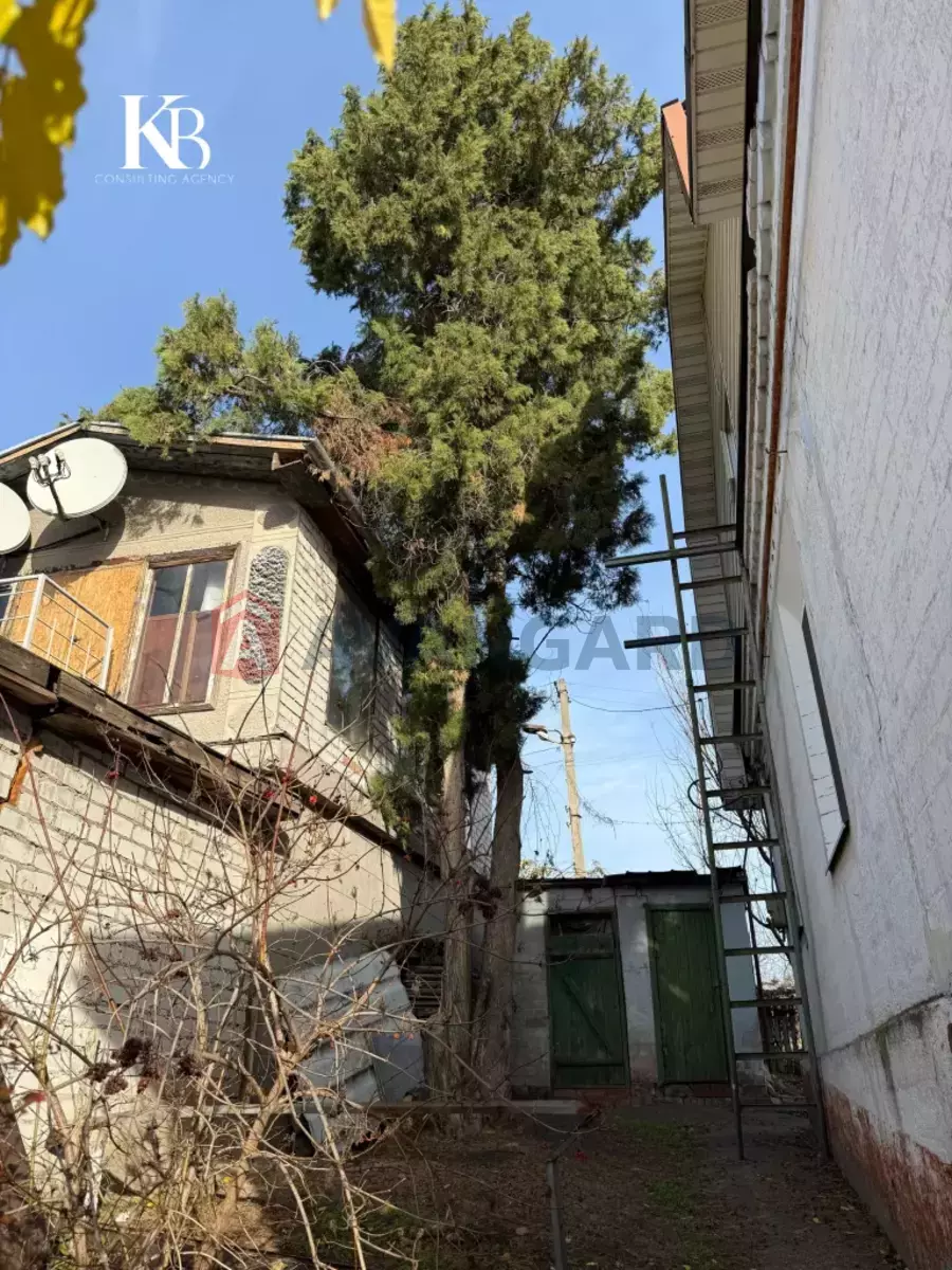 �������, 79 ��.�. ���� 6