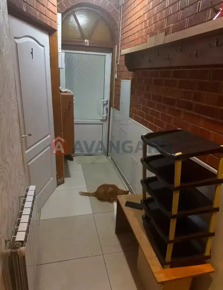 ������� �������, 53 ��.�. ���� 5