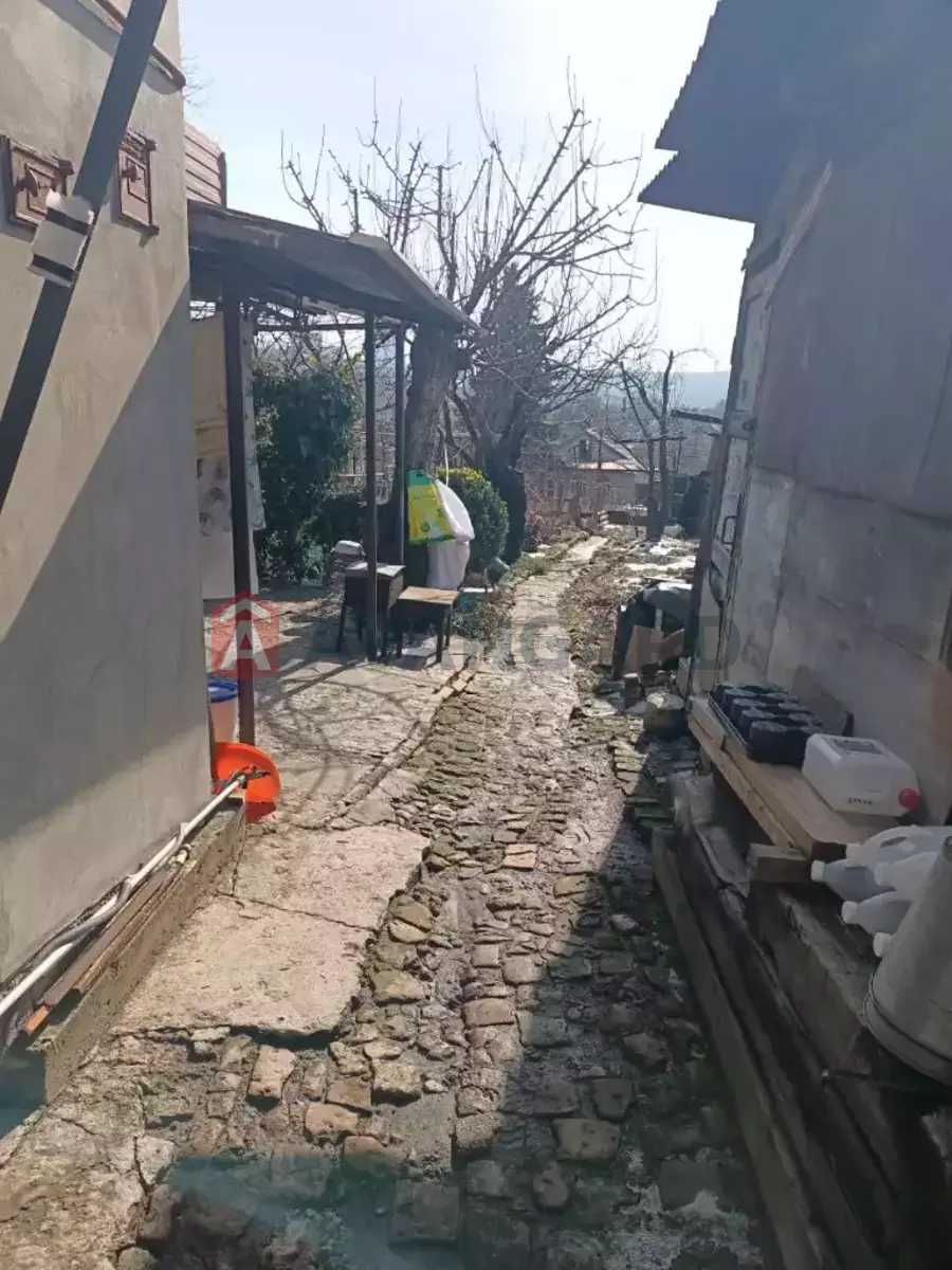 ������� �������, 34 ��.�. ���� 28