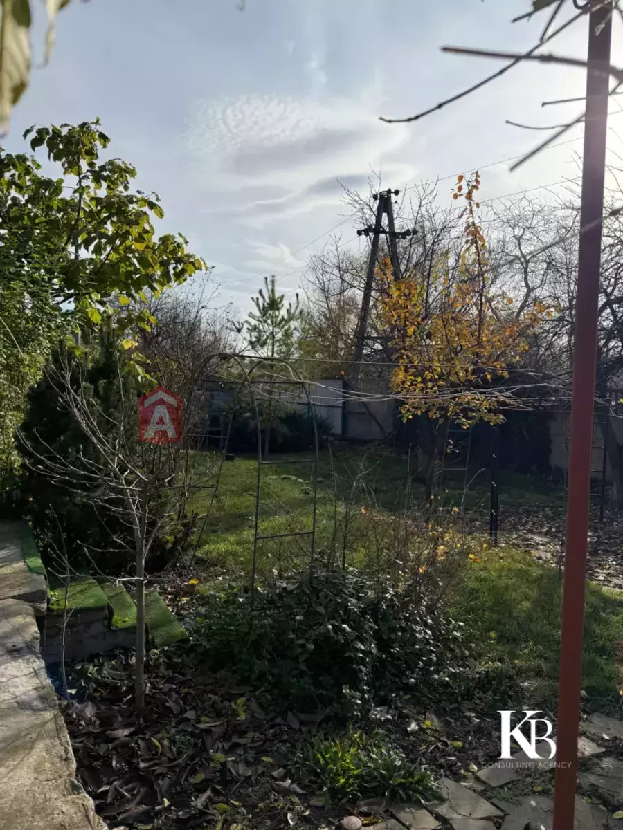 �������, 79 ��.�. ���� 4