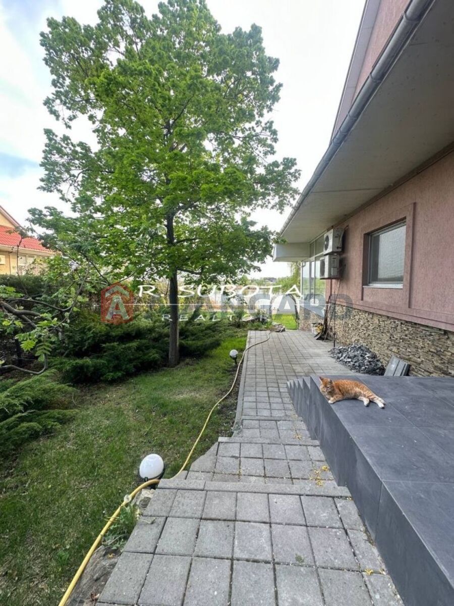 �������, 550 ��.�. ���� 11