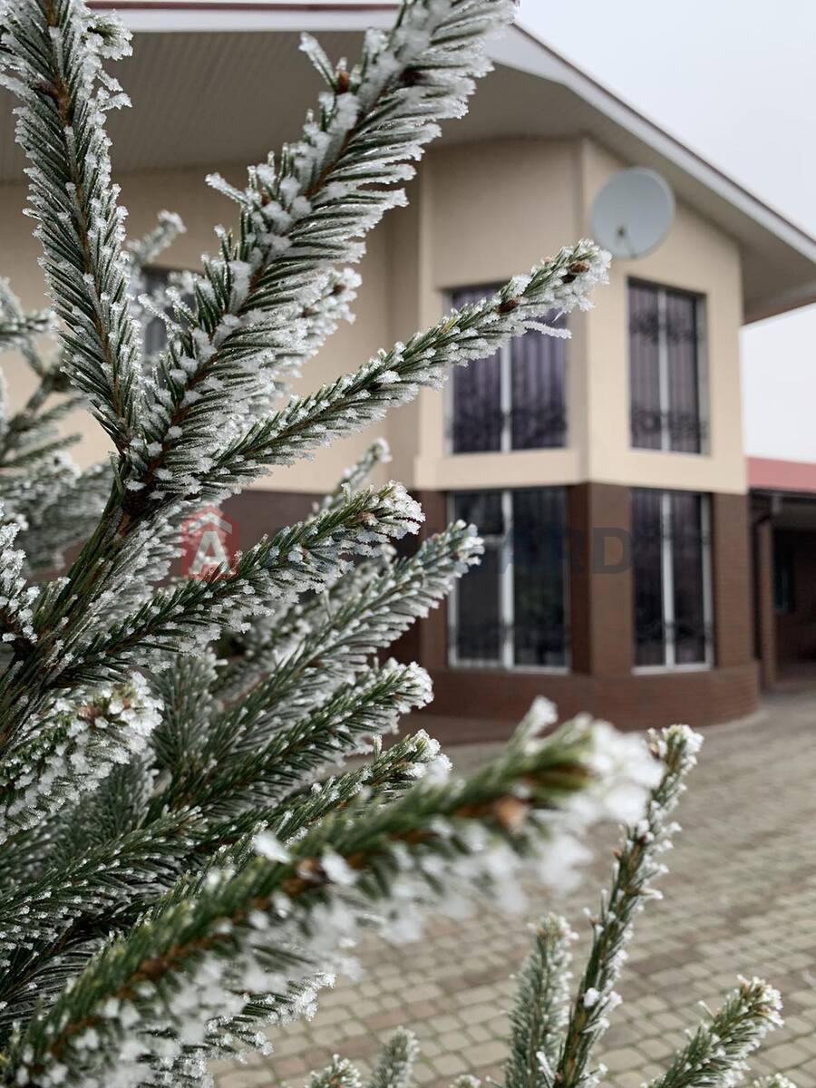 �������, 228 ��.�. ���� 2