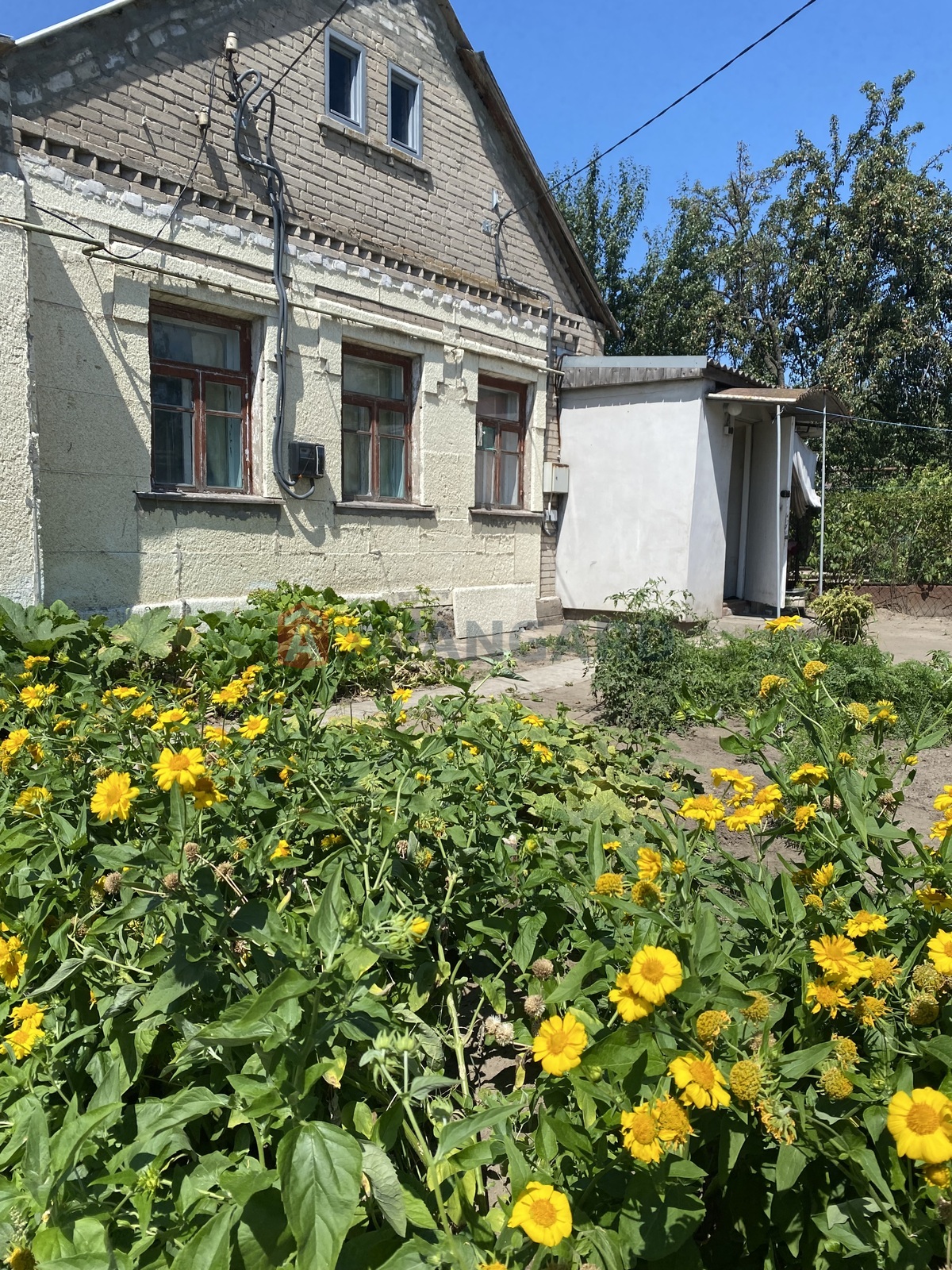 ������� �������, 44 ��.�. ���� 13