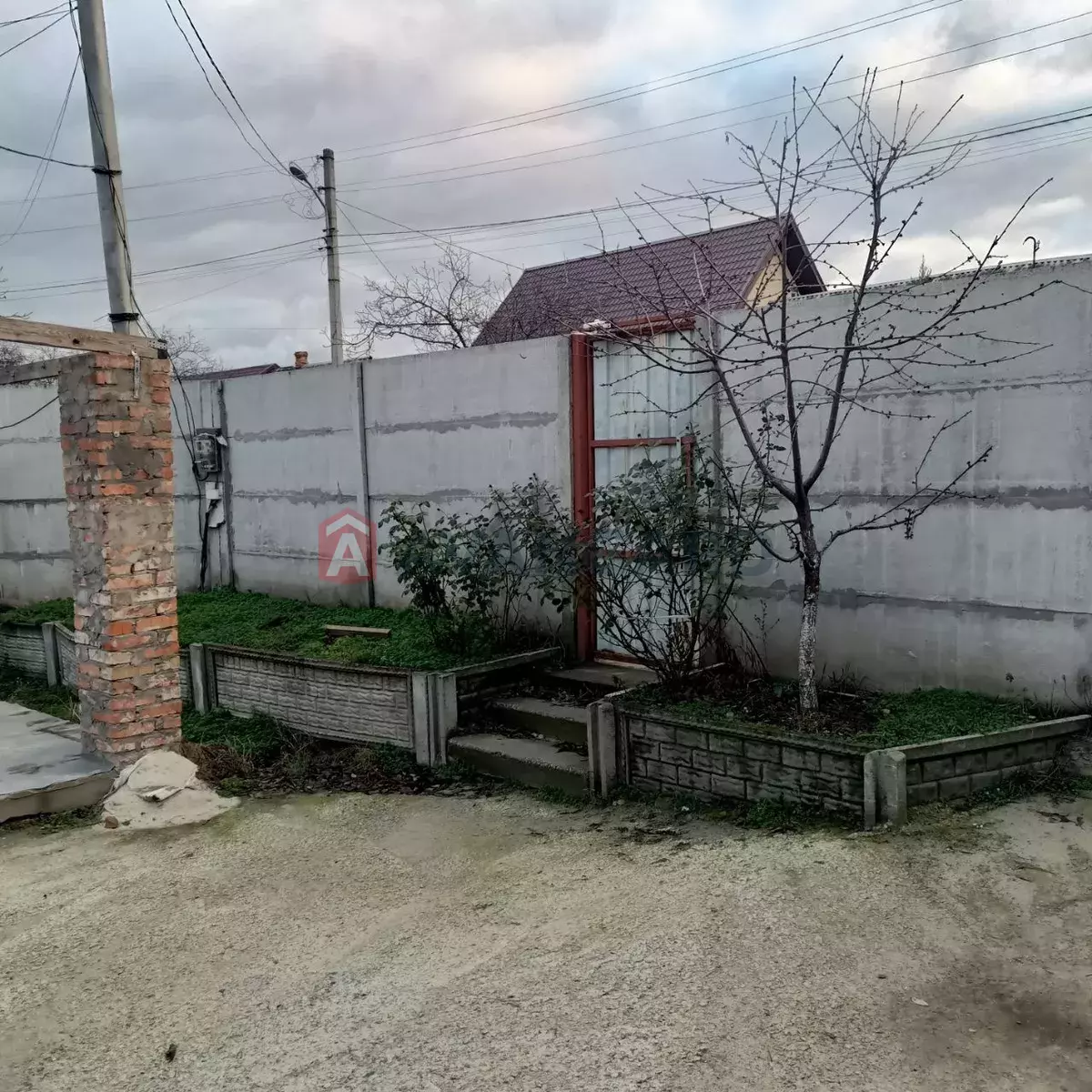 ����� ����, 50 ��.�. ���� 3