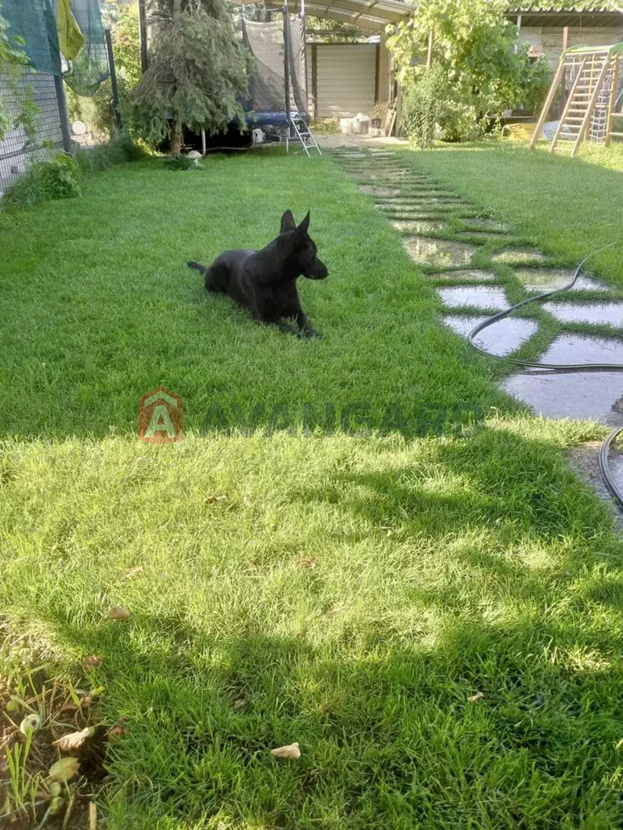 �������, 100 ��.�. ���� 7