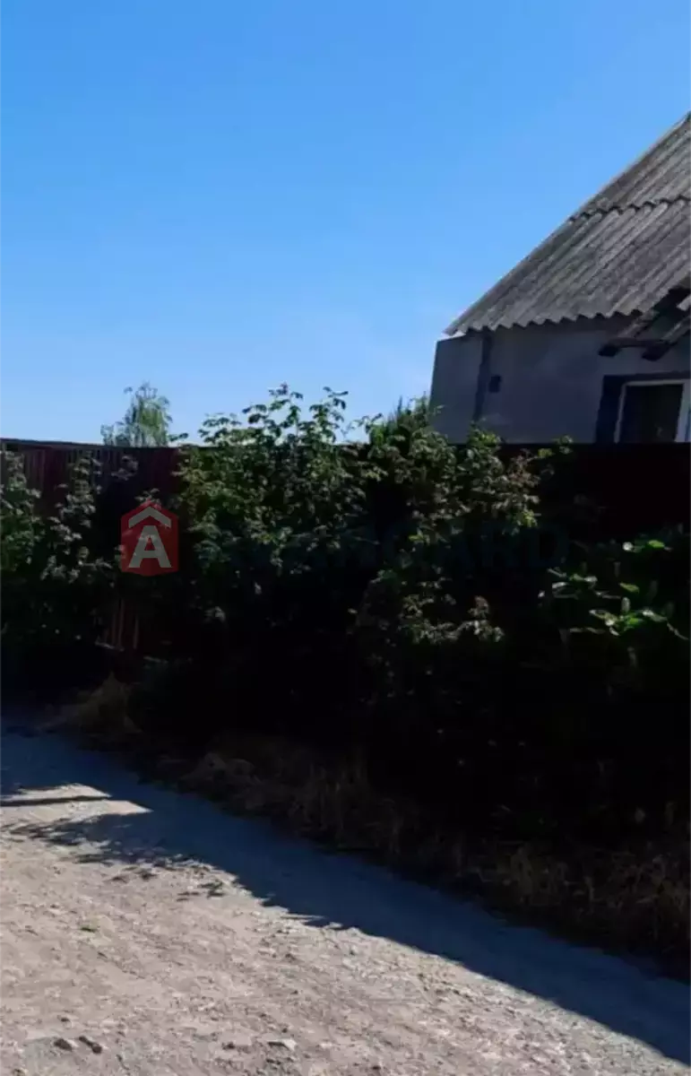 �������, 69 ��.�. ���� 15