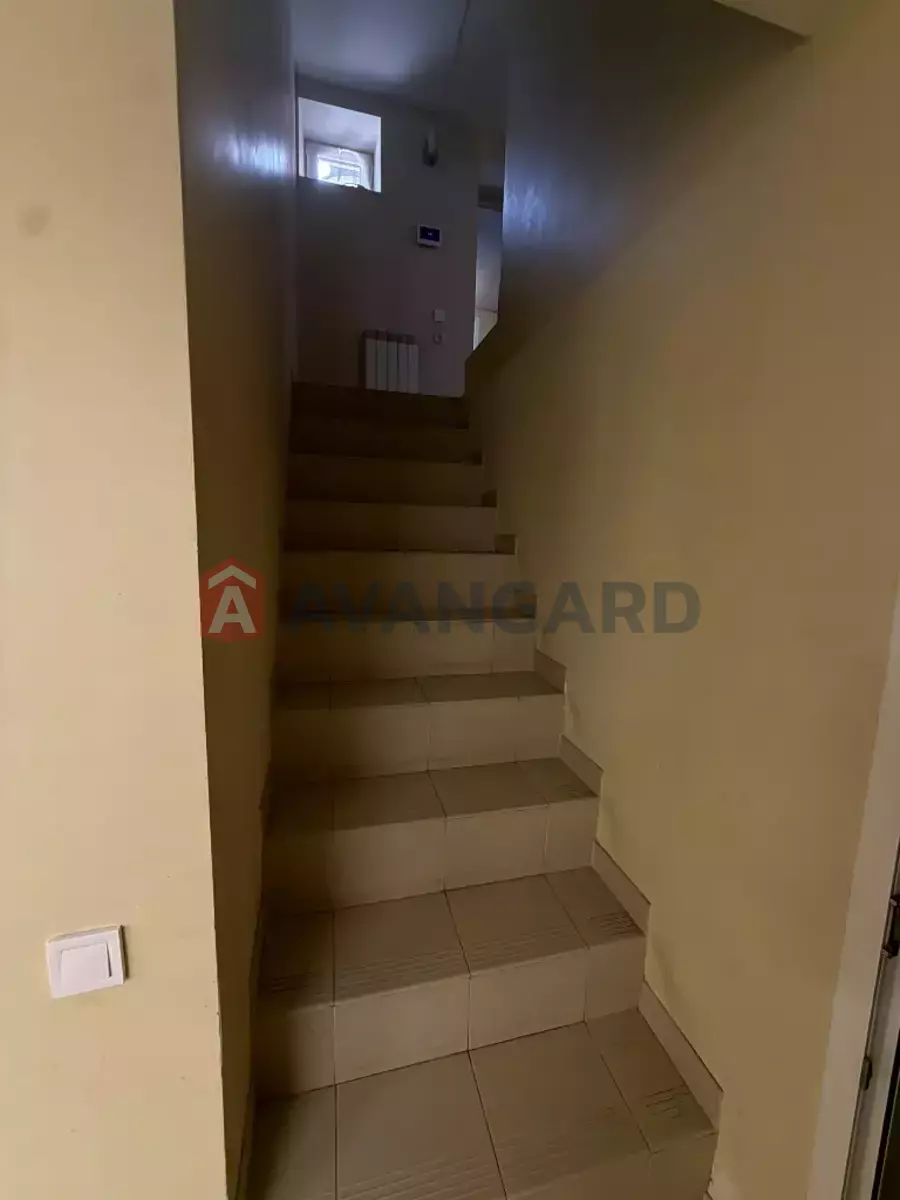 ���, 180 ��.�. ���� 29