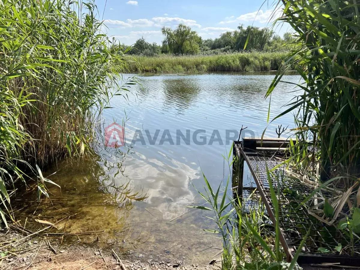 �������, 73 ��.�. ���� 15