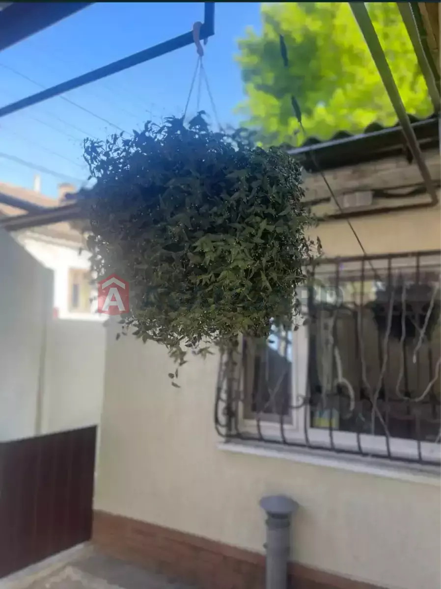 ���, 45 ��.�. ���� 21