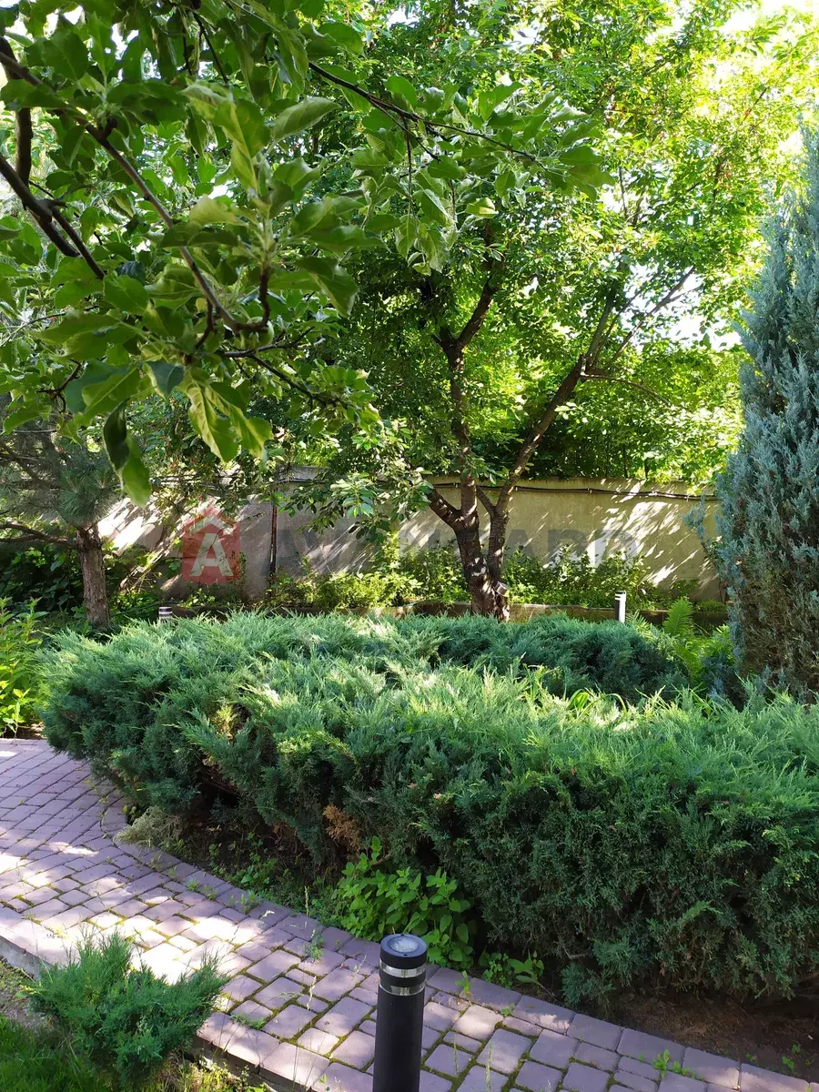 �������, 200 ��.�. ���� 8