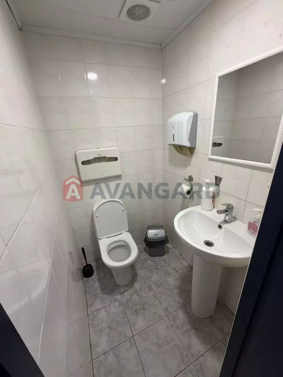 ���������� �����, 265 ��.�. ���� 8