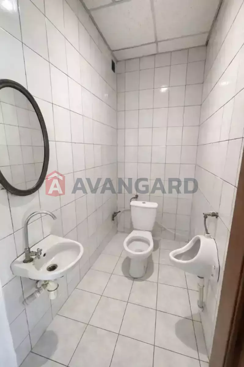 ����, ���, ��������, 72 ��.�. ���� 9