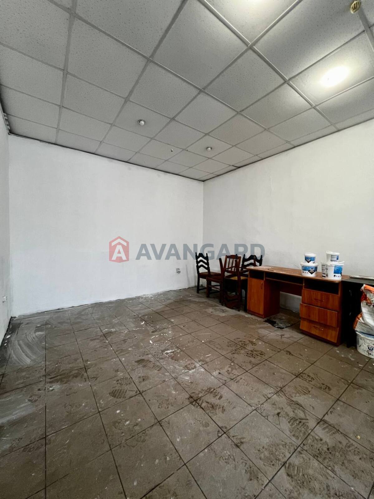 �������� �������, ����, ���, ��������, ����� �����, 60 ��.�. ���� 10