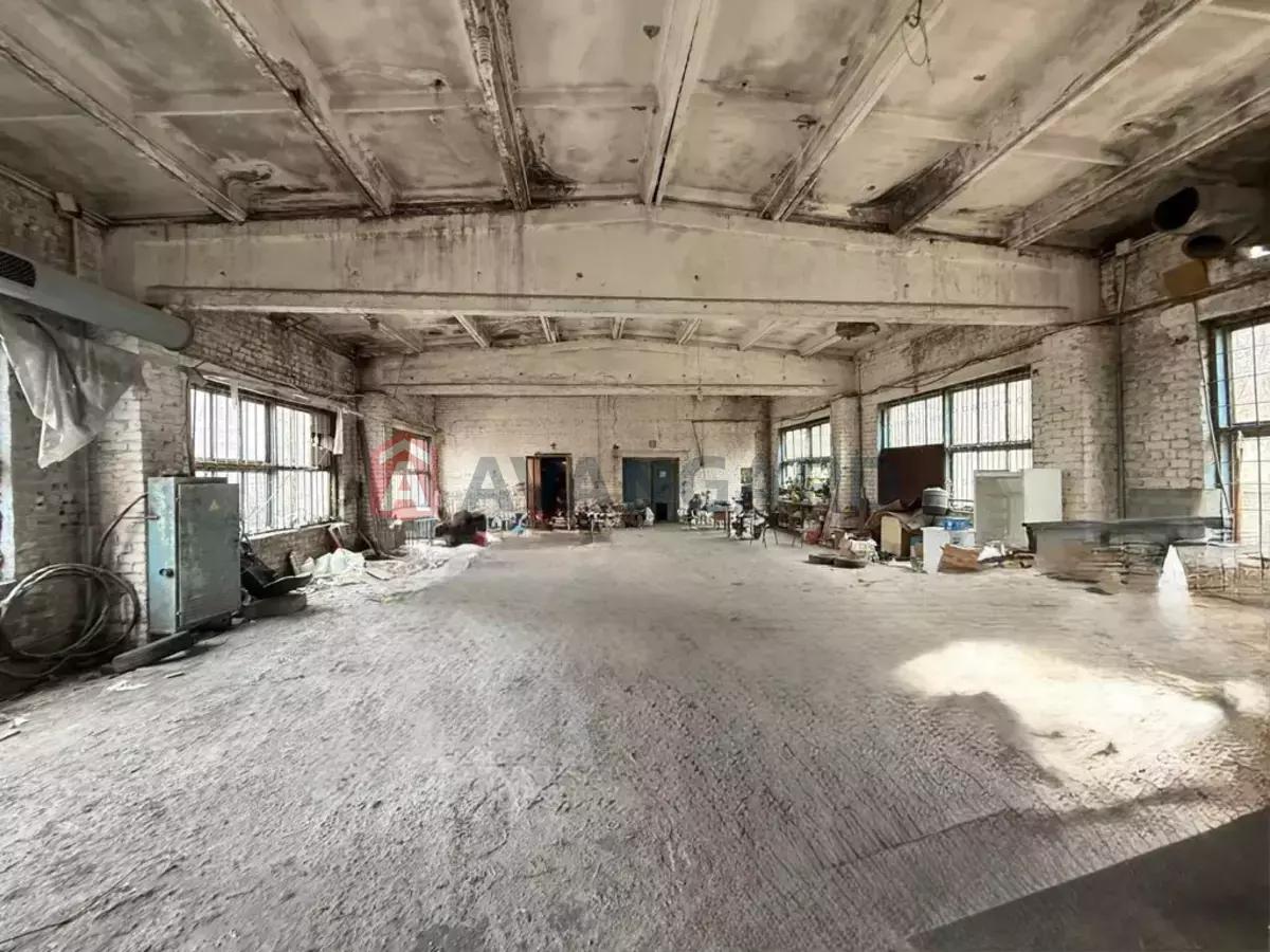 ���������� �����, 350 ��.�. ���� 3