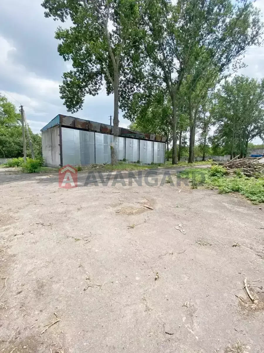 ���������� �����, 80 ��.�. ���� 12