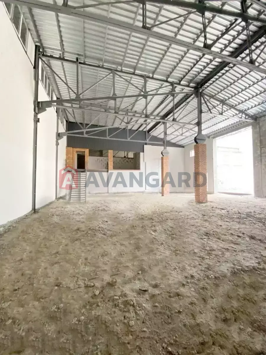 �������� �������, 400 ��.�. ���� 8