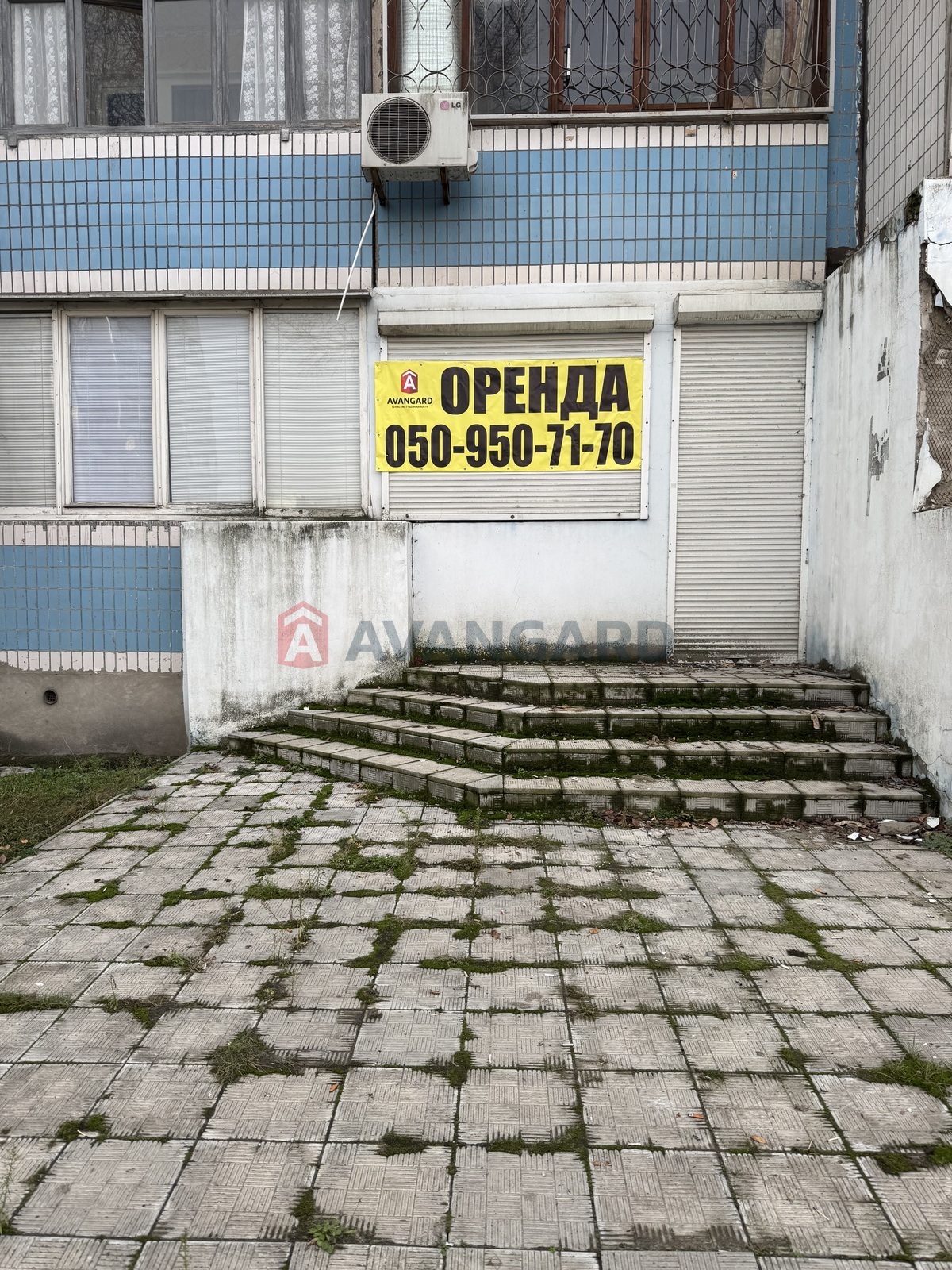 �������� �������, ����, ���, ��������, ����� �����, 71 ��.�. ���� 1