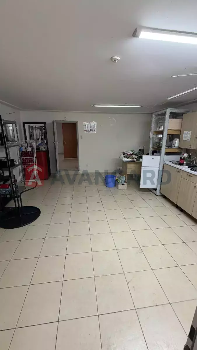 ���������� �����, 89 ��.�. ���� 15