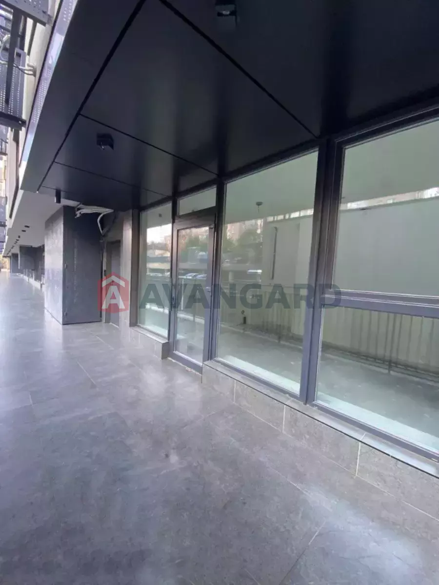 �������� �������, 22 ��.�. ���� 3