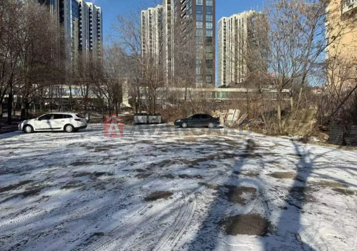 �������� �������, 1567 ��.�. ���� 17