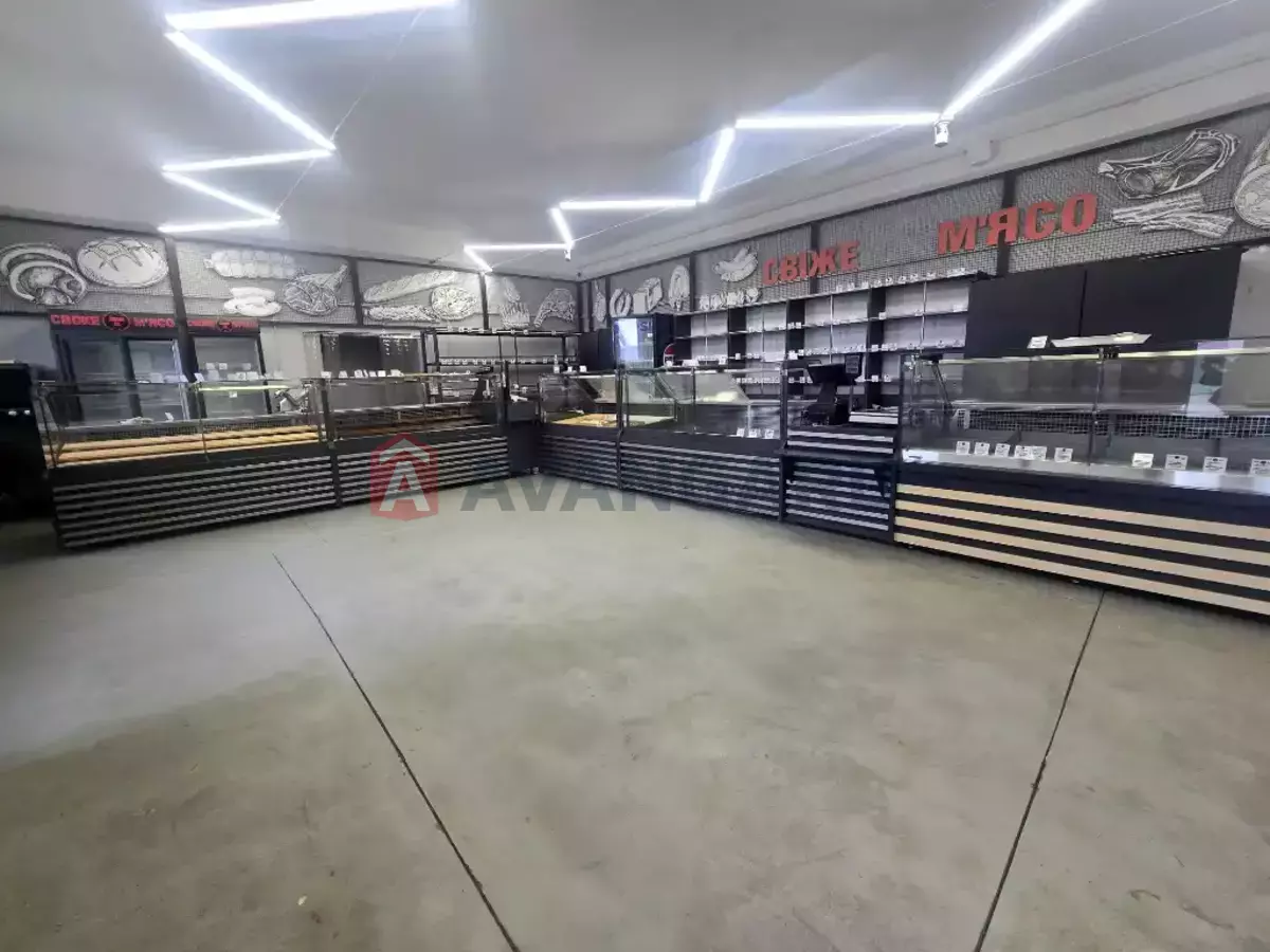 �������� �������, 160 ��.�. ���� 3