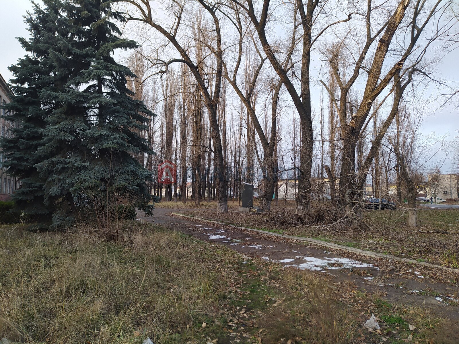 ����� ������, 45 ��.�. ���� 17