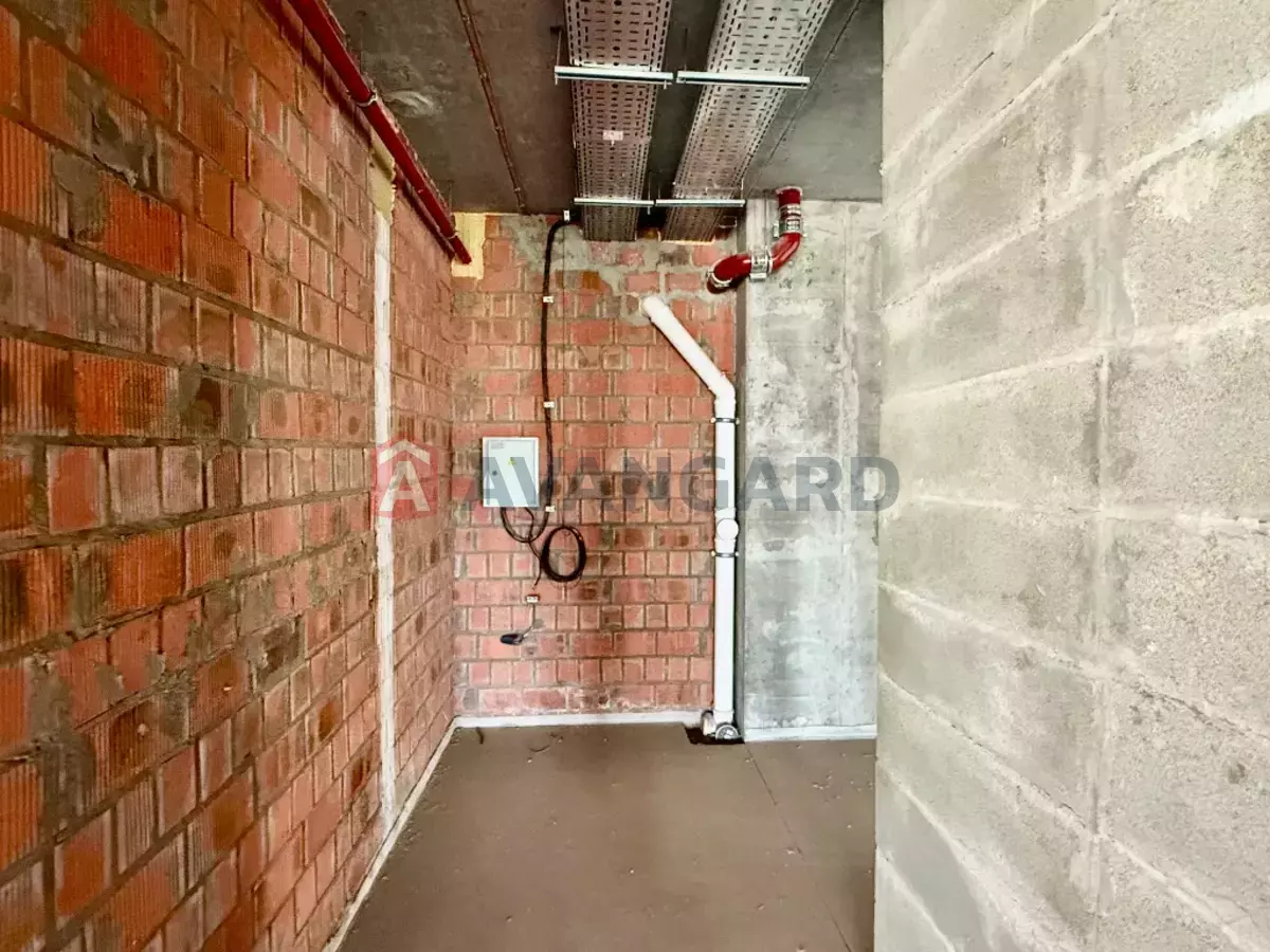 �������� �������, 292 ��.�. ���� 20