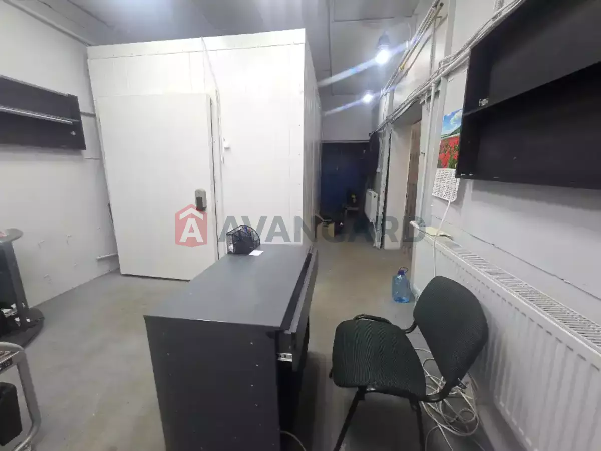 �������� �������, 160 ��.�. ���� 15