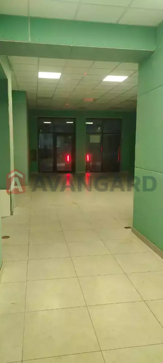 �������� �������, 75 ��.�. ���� 6