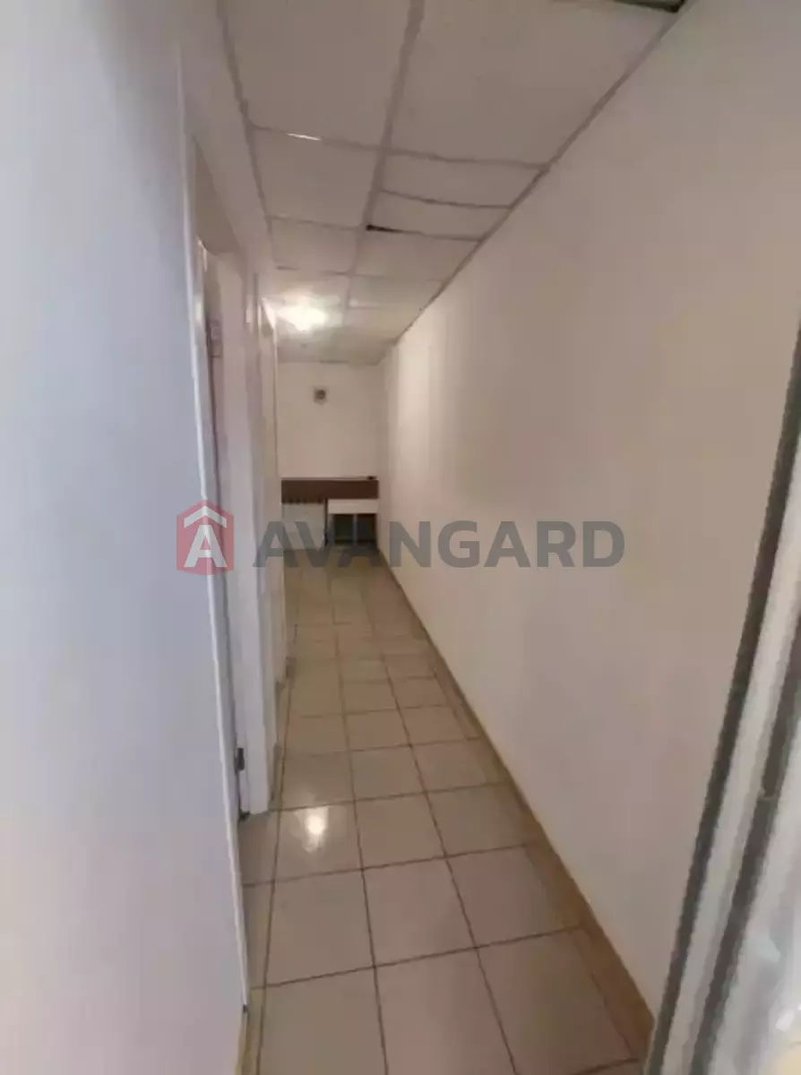 ���������� �����, 55 ��.�. ���� 7