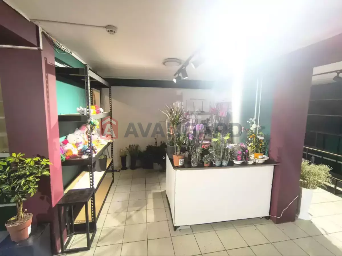 ���������� �����, 73 ��.�. ���� 2