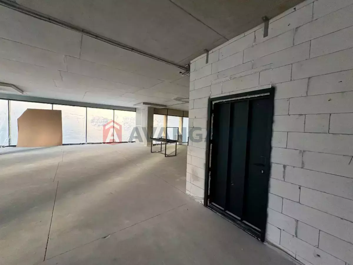 ����, ���, ��������, 428 ��.�. ���� 8