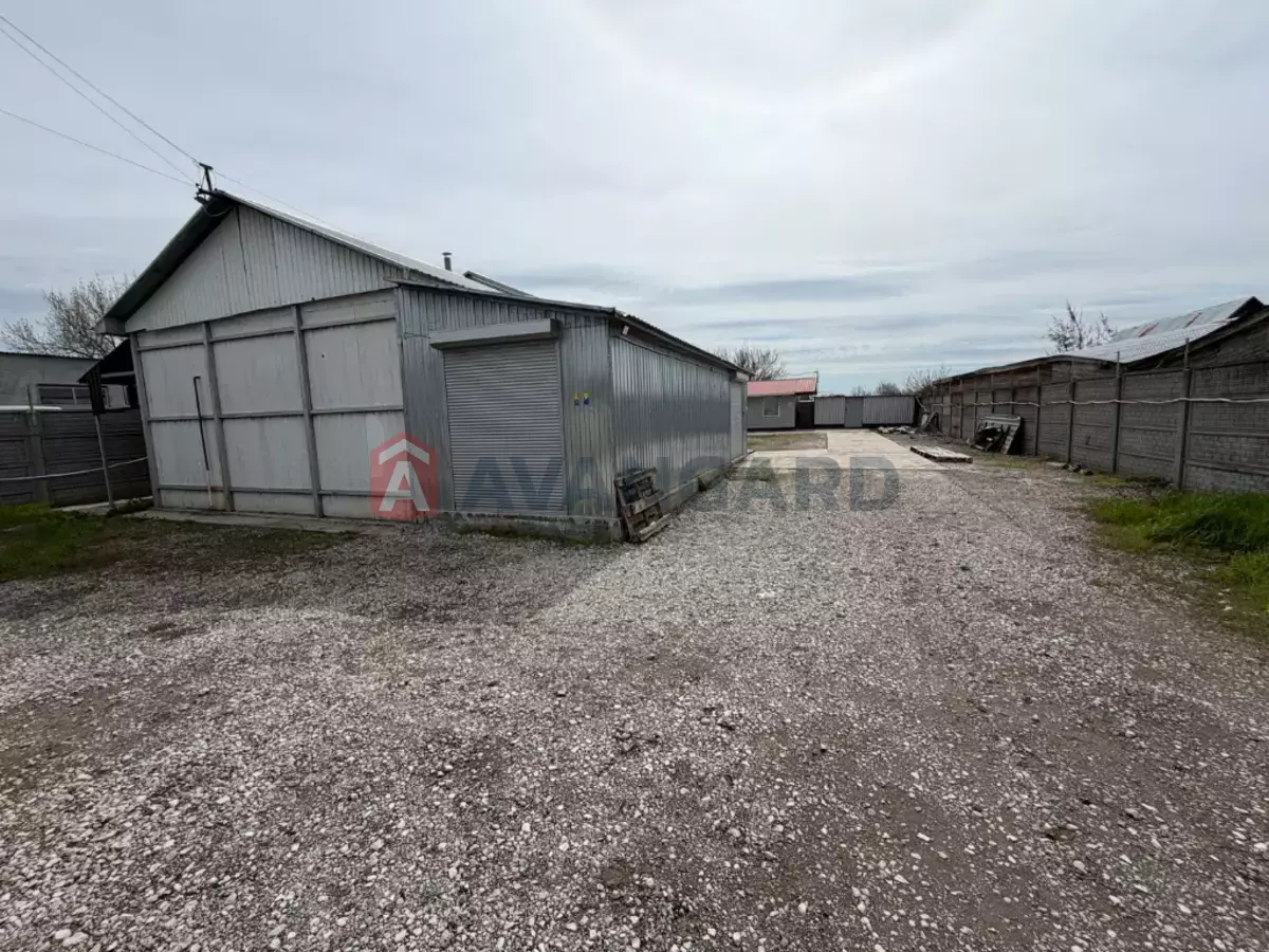 ���������� �����, 240 ��.�. ���� 21