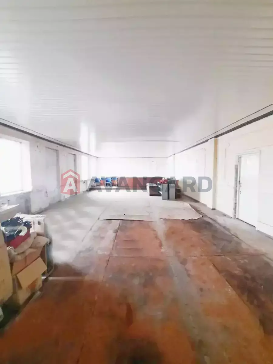 ���������� �����, 80 ��.�. ���� 3