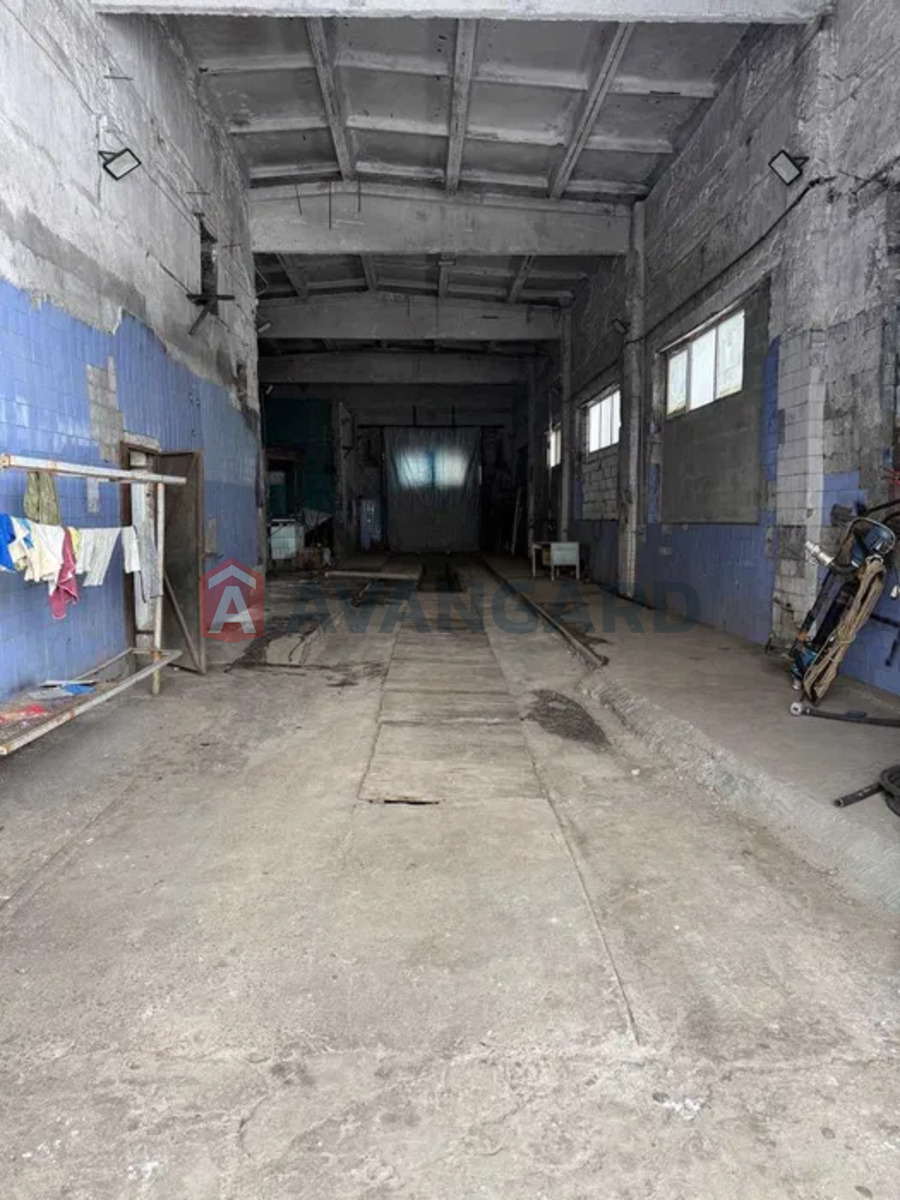 ����� ������, 300 ��.�. ���� 1