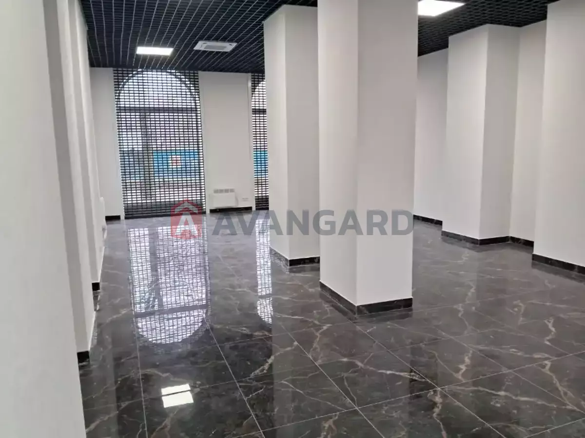 �������� �������, 255 ��.�. ���� 11