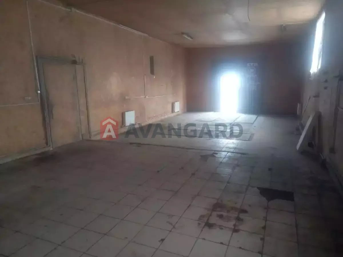 ����� �����, 100 ��.�. ���� 2