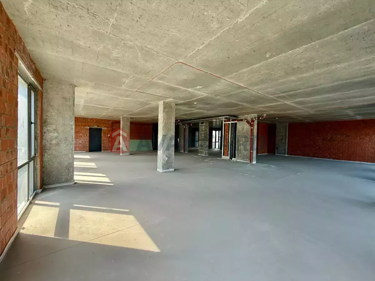 �������� �������, 292 ��.�. ���� 7